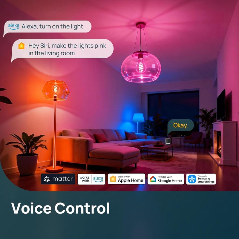 Linkind WiFi Smart Light Bulbs A19 1 Pack Matter A19 Edison Light Bulbs 1 Pack